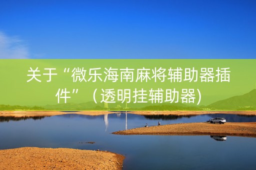关于“微乐海南麻将辅助器插件”（透明挂辅助器)