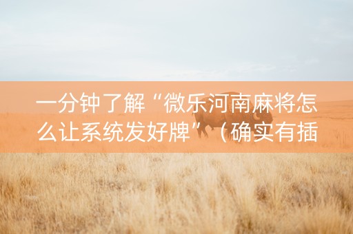 一分钟了解“微乐河南麻将怎么让系统发好牌”（确实有插件吗)