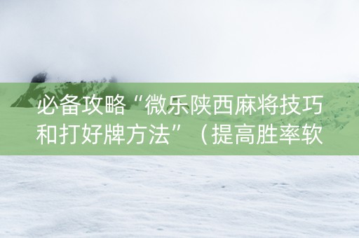 必备攻略“微乐陕西麻将技巧和打好牌方法”（提高胜率软件)