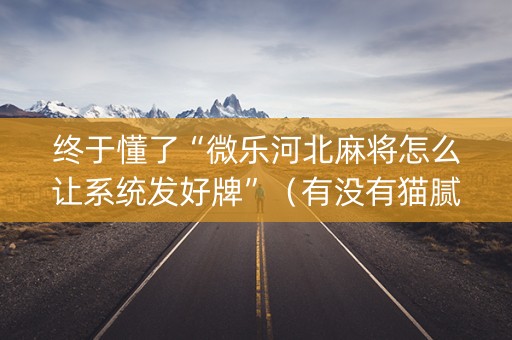 终于懂了“微乐河北麻将怎么让系统发好牌”（有没有猫腻)