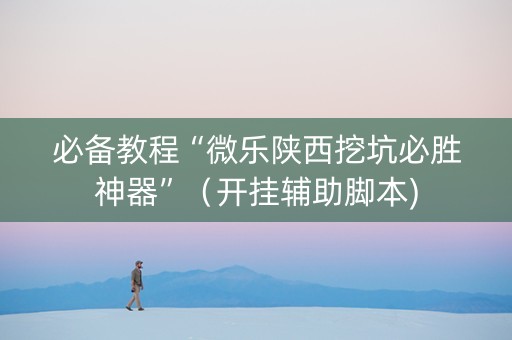 必备教程“微乐陕西挖坑必胜神器”（开挂辅助脚本)