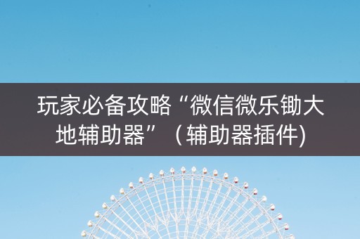 玩家必备攻略“微信微乐锄大地辅助器”（辅助器插件)