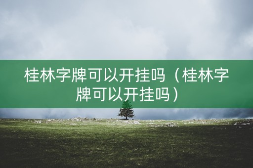 桂林字牌可以开挂吗（桂林字牌可以开挂吗）