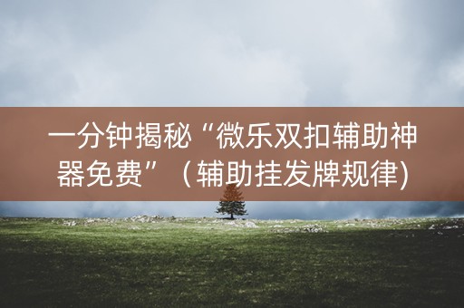 一分钟揭秘“微乐双扣辅助神器免费”（辅助挂发牌规律)
