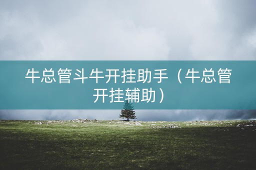 牛总管斗牛开挂助手（牛总管开挂辅助）