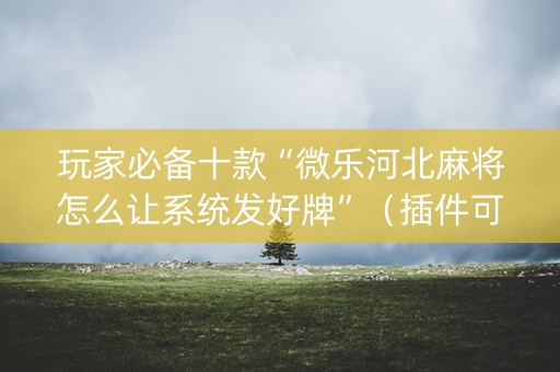 玩家必备十款“微乐河北麻将怎么让系统发好牌”（插件可信吗)