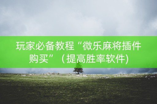 玩家必备教程“微乐麻将插件购买”（提高胜率软件)
