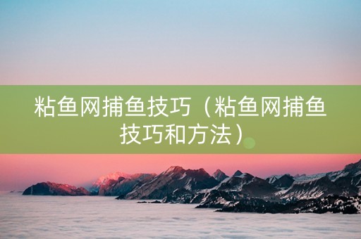 粘鱼网捕鱼技巧（粘鱼网捕鱼技巧和方法）
