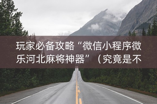 玩家必备攻略“微信小程序微乐河北麻将神器”（究竟是不是有挂)