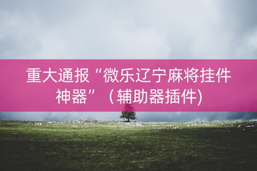 重大通报“微乐辽宁麻将挂件神器”（辅助器插件)
