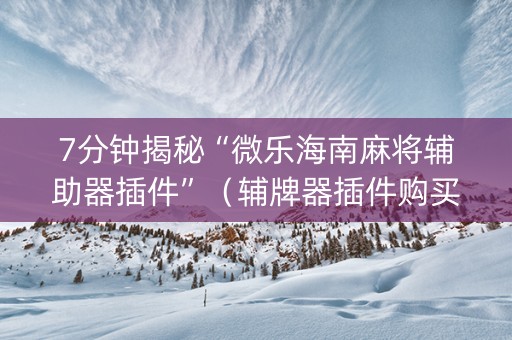 7分钟揭秘“微乐海南麻将辅助器插件”（辅牌器插件购买)