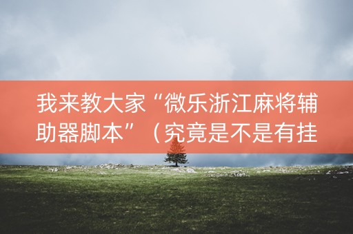 我来教大家“微乐浙江麻将辅助器脚本”（究竟是不是有挂)