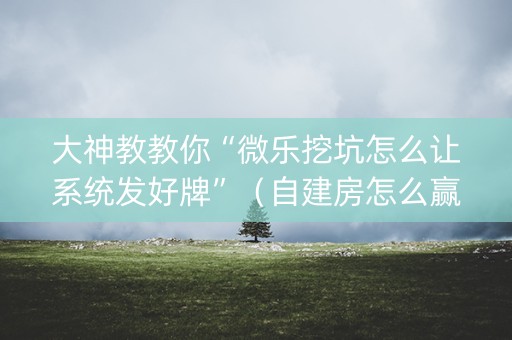 大神教教你“微乐挖坑怎么让系统发好牌”（自建房怎么赢)