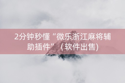 2分钟秒懂“微乐浙江麻将辅助插件”（软件出售)
