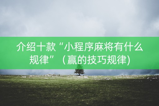 介绍十款“小程序麻将有什么规律”（赢的技巧规律)