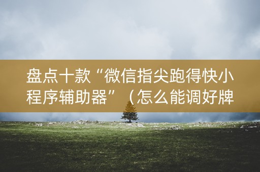 盘点十款“微信指尖跑得快小程序辅助器”（怎么能调好牌)