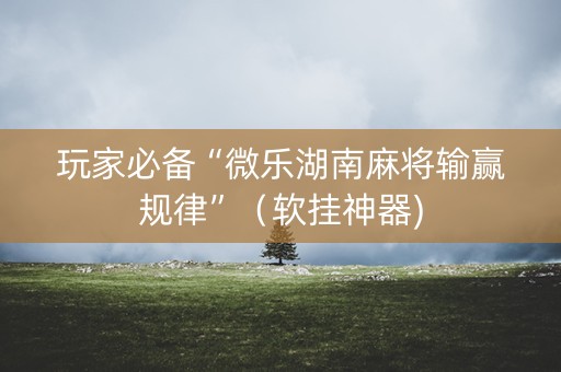 玩家必备“微乐湖南麻将输赢规律”（软挂神器)