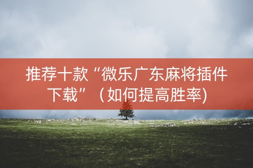推荐十款“微乐广东麻将插件下载”（如何提高胜率)