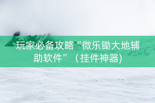 玩家必备攻略“微乐锄大地辅助软件”（挂件神器)