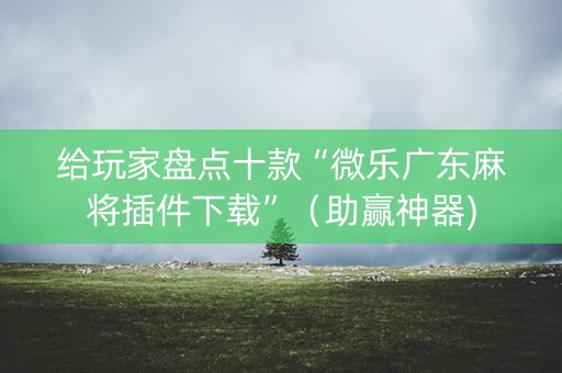 给玩家盘点十款“微乐广东麻将插件下载”（助赢神器)