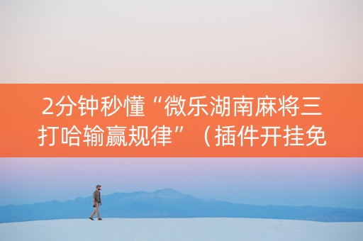 2分钟秒懂“微乐湖南麻将三打哈输赢规律”（插件开挂免费AI)