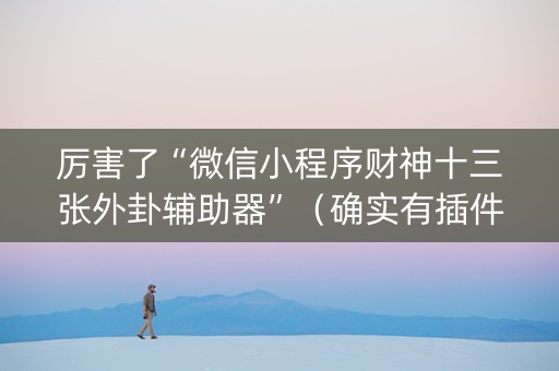 厉害了“微信小程序财神十三张外卦辅助器”（确实有插件吗)