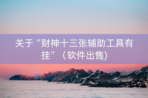关于“财神十三张辅助工具有挂”（软件出售)