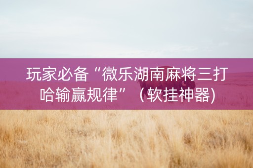 玩家必备“微乐湖南麻将三打哈输赢规律”（软挂神器)