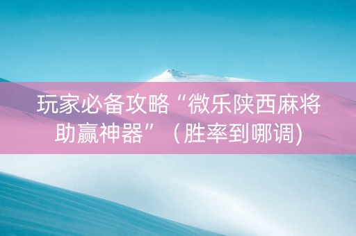 玩家必备攻略“微乐陕西麻将助赢神器”（胜率到哪调)