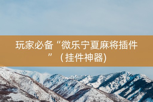 玩家必备“微乐宁夏麻将插件”（挂件神器)