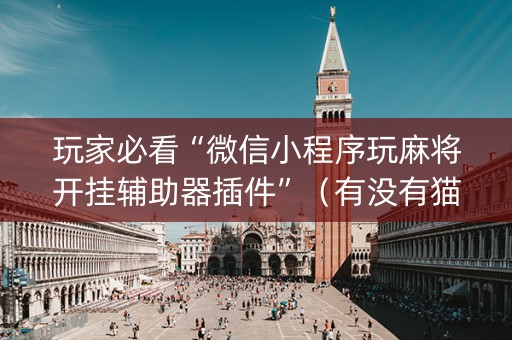 玩家必看“微信小程序玩麻将开挂辅助器插件”（有没有猫腻)