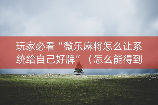 玩家必看“微乐麻将怎么让系统给自己好牌”（怎么能得到好牌)
