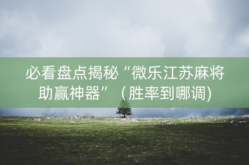 必看盘点揭秘“微乐江苏麻将助赢神器”（胜率到哪调)