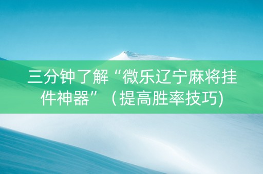 三分钟了解“微乐辽宁麻将挂件神器”（提高胜率技巧)