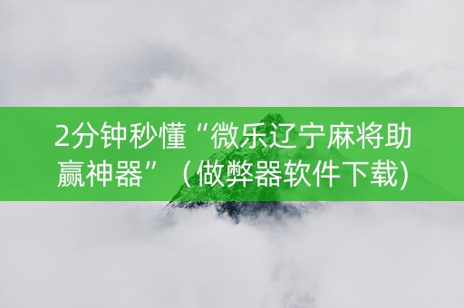 2分钟秒懂“微乐辽宁麻将助赢神器”（做弊器软件下载)