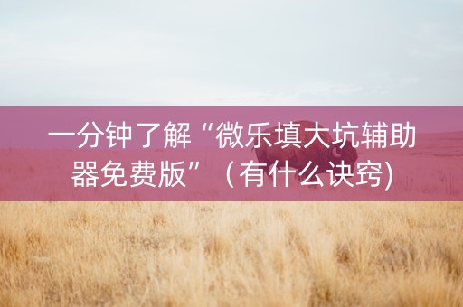 一分钟了解“微乐填大坑辅助器免费版”（有什么诀窍)