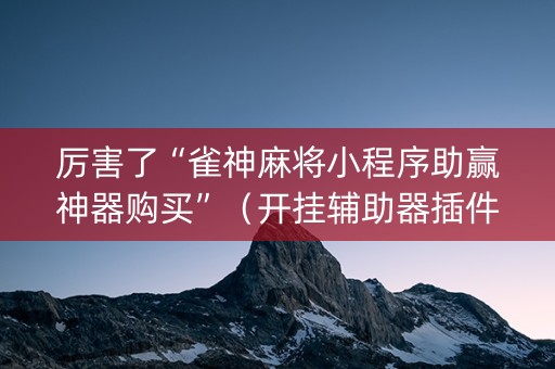 厉害了“雀神麻将小程序助赢神器购买”（开挂辅助器插件)