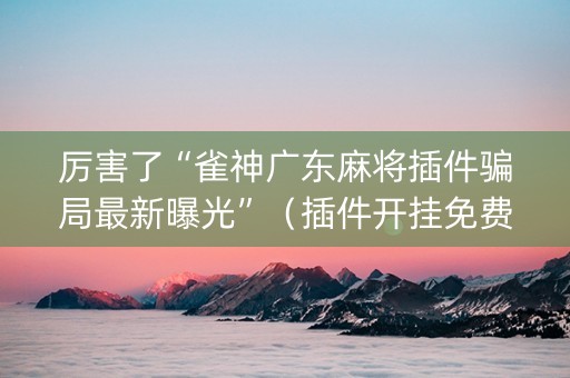 厉害了“雀神广东麻将插件骗局最新曝光”（插件开挂免费AI)
