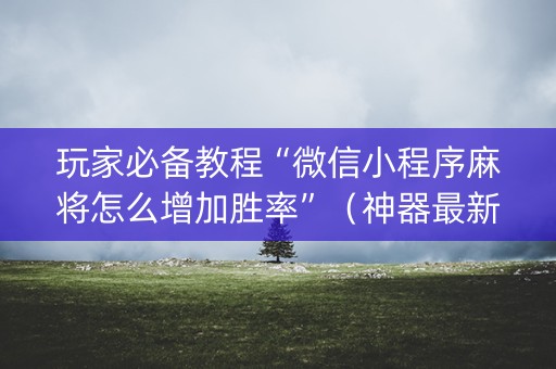玩家必备教程“微信小程序麻将怎么增加胜率”（神器最新免费)