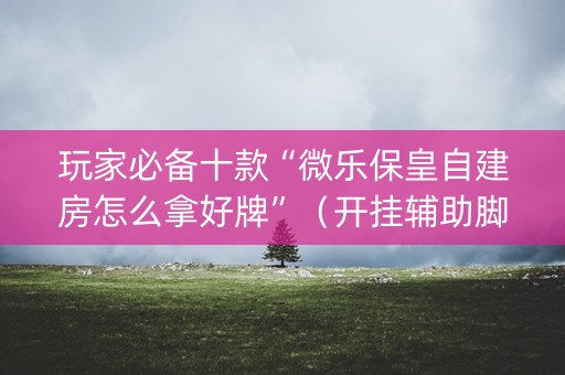 玩家必备十款“微乐保皇自建房怎么拿好牌”（开挂辅助脚本)