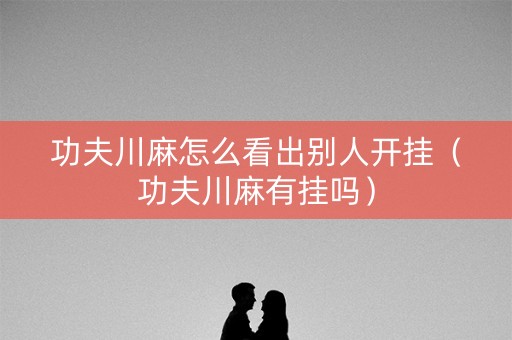 功夫川麻怎么看出别人开挂（功夫川麻有挂吗）