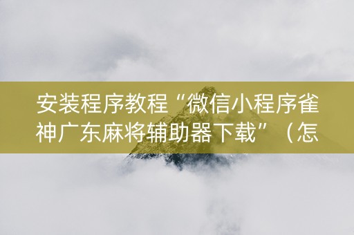 安装程序教程“微信小程序雀神广东麻将辅助器下载”（怎么能让牌好一点)
