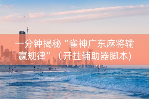 一分钟揭秘“雀神广东麻将输赢规律”（开挂辅助器脚本)