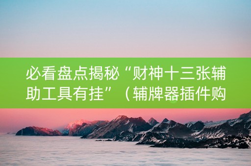 必看盘点揭秘“财神十三张辅助工具有挂”（辅牌器插件购买)
