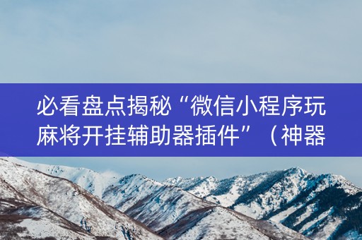 必看盘点揭秘“微信小程序玩麻将开挂辅助器插件”（神器通用版)