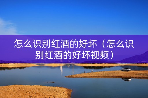怎么识别红酒的好坏（怎么识别红酒的好坏视频）