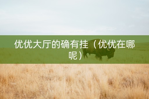 优优大厅的确有挂（优优在哪呢）