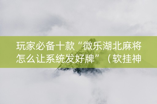 玩家必备十款“微乐湖北麻将怎么让系统发好牌”（软挂神器)