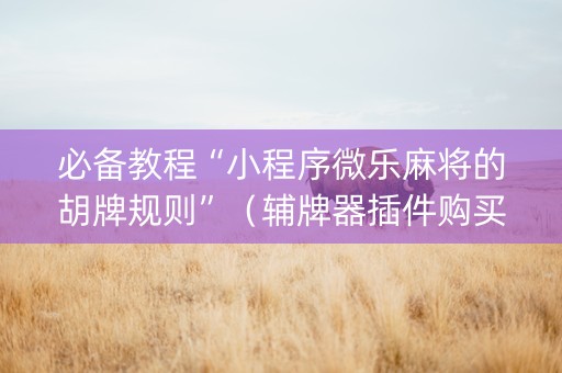 必备教程“小程序微乐麻将的胡牌规则”（辅牌器插件购买)