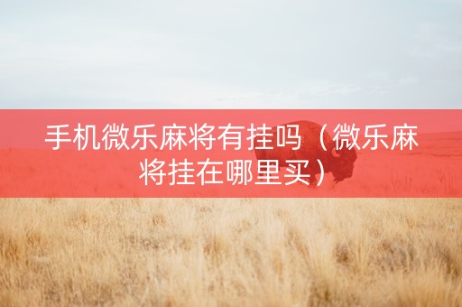 手机微乐麻将有挂吗（微乐麻将挂在哪里买）